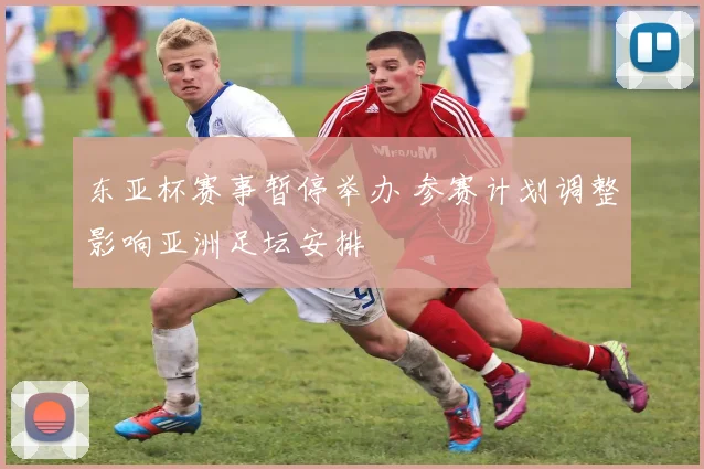 东亚杯赛事暂停举办 参赛计划调整影响亚洲足坛安排