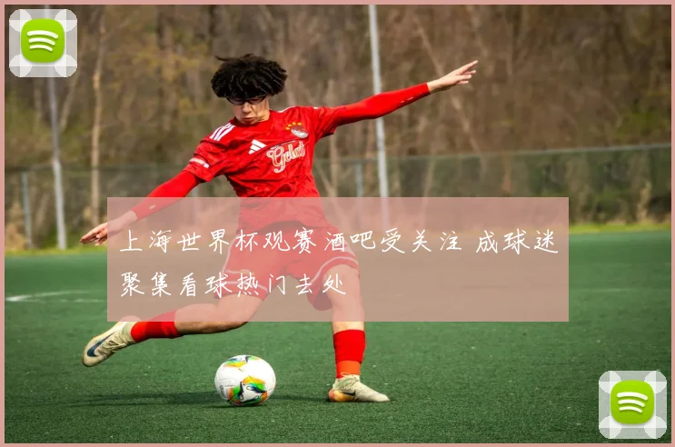 上海世界杯观赛酒吧受关注 成球迷聚集看球热门去处